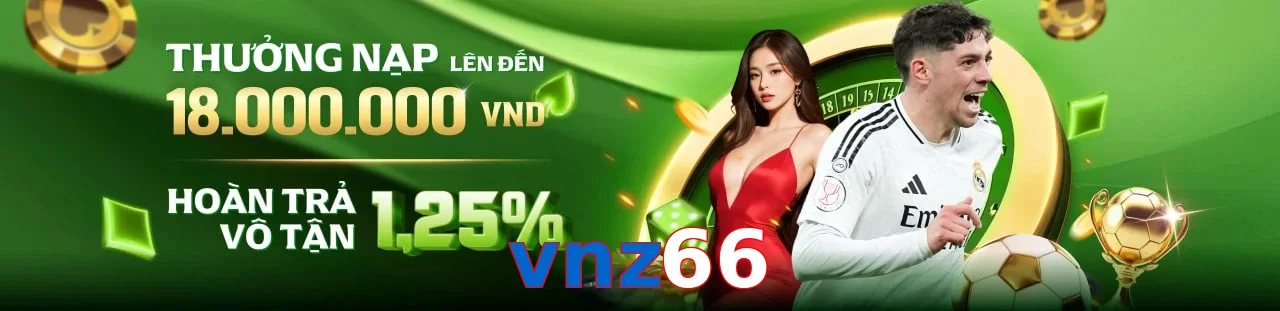 vnz66